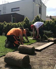 Pielęgnacja terenów zieleni