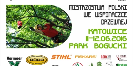 V Mistrzostwa Polski we Wspinaczce Drzewnej 2016