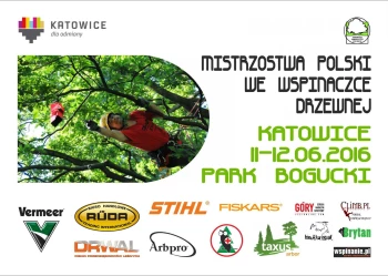 13305018_1105723492819401_5288220634551941135_o