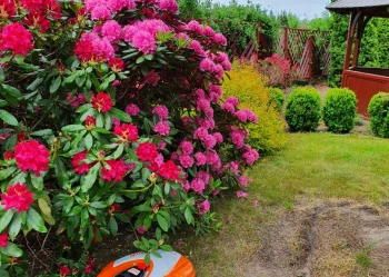 20220524_110812_Original