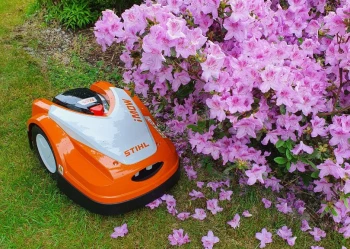 20220524_110940_Original