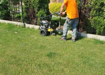 20220620_094036_Original