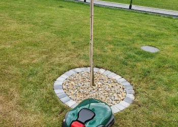 20220628_113342_Original