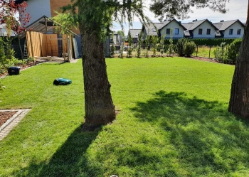 20220719_104611_Original