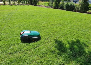 20220719_104619_Original