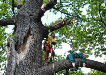 279936333_5230344687023907_8339879253584348437_n