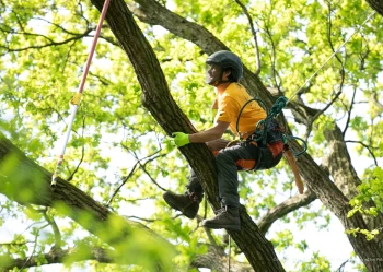 280044882_5229321267126249_4259461735807424771_n