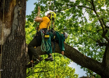 280321155_3307128602852551_7703137686031565656_n