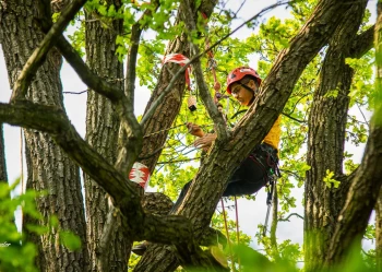 280328863_3307134546185290_8227963145141152688_n