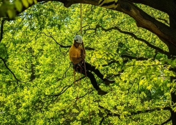 280357388_3307134402851971_4297955641910599355_n