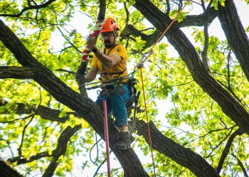 280407778_3307133469518731_5958624850736458628_n