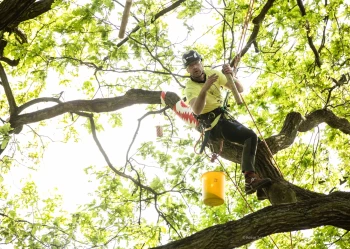 280514532_5230413720350337_6377678443542294360_n