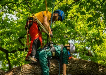 280647277_3307131059518972_380823037207943673_n