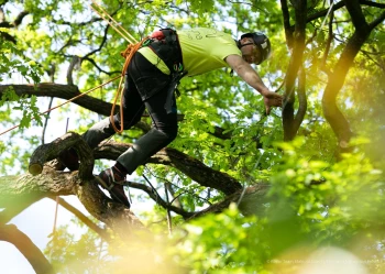 280700884_5230414153683627_4411031052747819368_n