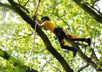 281226614_5229321157126260_3784020589988797409_n