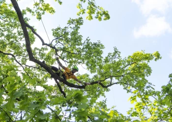 281581510_5233650690026640_558200312602706371_n