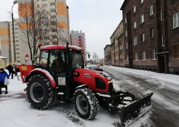 49779333_288730915164622_888278174016733184_n