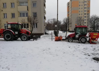 49948984_137928000435068_6747048353890041856_n