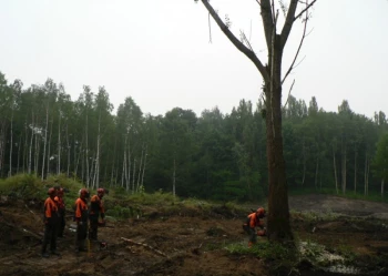 Budowa pola golfowego