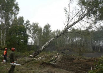 Budowa pola golfowego