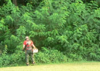 Budowa pola golfowego