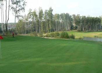 Budowa pola golfowego