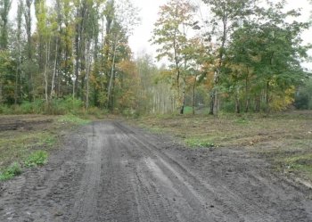 Budowa pola golfowego