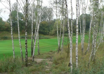 Budowa pola golfowego