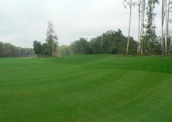 Budowa pola golfowego