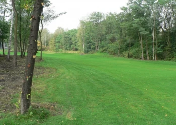 Budowa pola golfowego