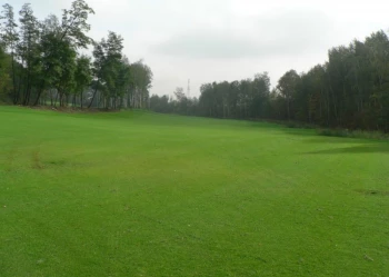 Budowa pola golfowego