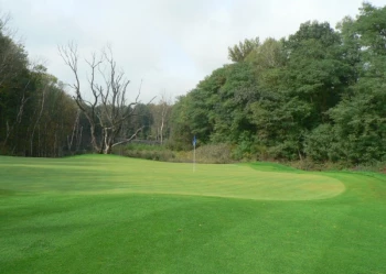 Budowa pola golfowego