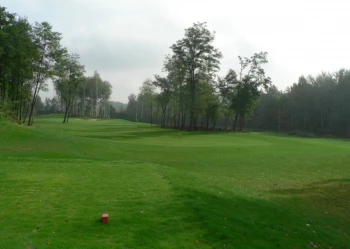 Budowa pola golfowego