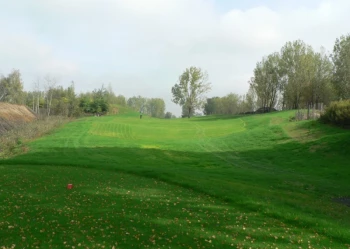 Budowa pola golfowego