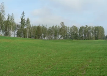 Budowa pola golfowego