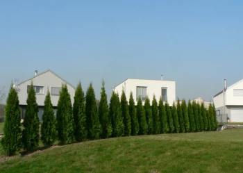 Budowa pola golfowego