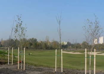 Budowa pola golfowego