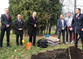 Dęby Niepodległości