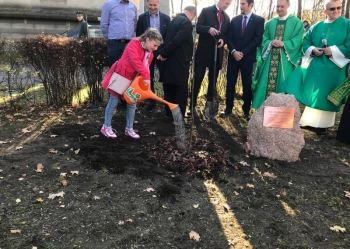 Dęby Niepodległości