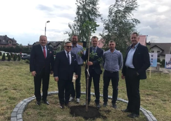 Dęby Niepodległości