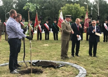 Dęby Niepodległości