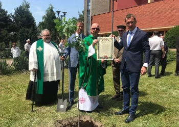 Dęby Niepodległości