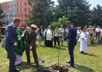 Dęby Niepodległości