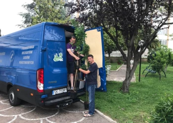 Dęby Niepodległości