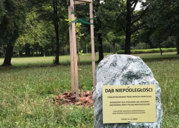 Dęby Niepodległości