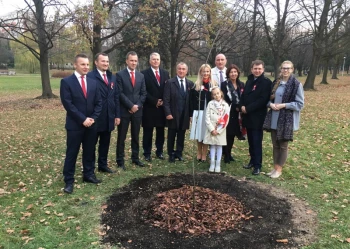 Dęby Niepodległości