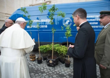 Dęby Niepodległości