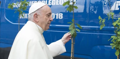 Dęby Niepodległości