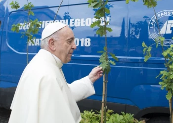 Dęby Niepodległości