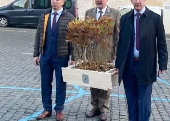 deby-powstan-slaskich-11